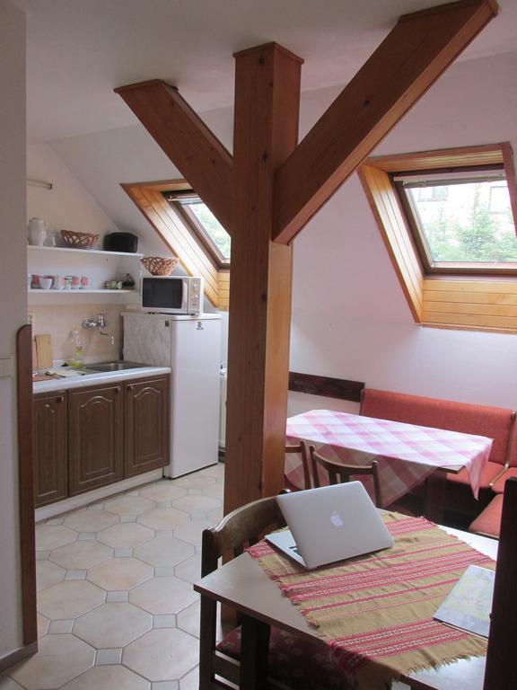Dum Eva Hotel Janské Lázně Kamer foto